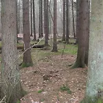 Perła Wisełka