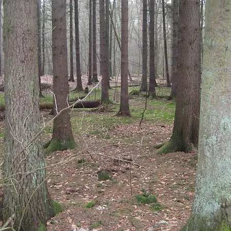 Perla Baltyku Wisełka