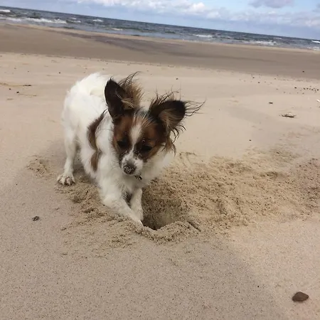 Bed & Breakfast Perla Baltyku 3*