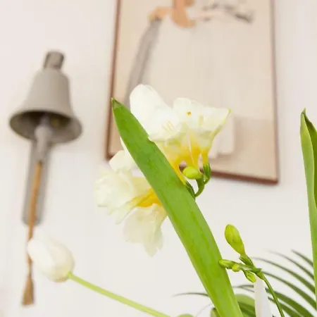 Perla Baltyku Wisełka