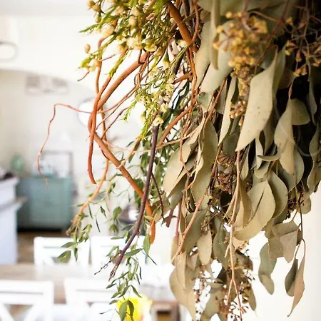 Bed and breakfast Perla Baltyku