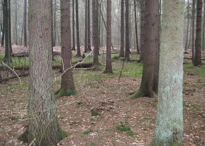 Perla Baltyku Wisełka