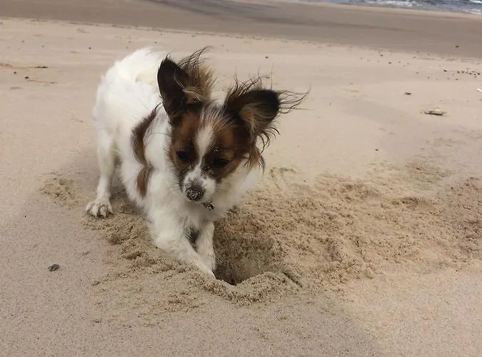 Couette-café Perla Baltyku 3*